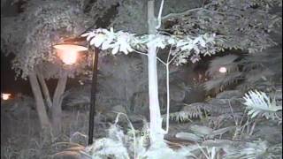 1/3 CCD Sony Effio-A 960h CCTV Camera 4151+673 night vision Demo