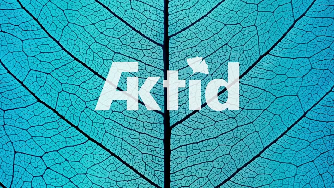 AKTID – Our business (EN)