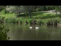 Vivo X300 Ultra APV Log 85mm HDR
