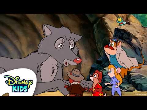Un lupo travestito da agnello | Cip & Ciop Agenti Speciali S1 E29 | Episodio Completo |@DisneyKidsIT