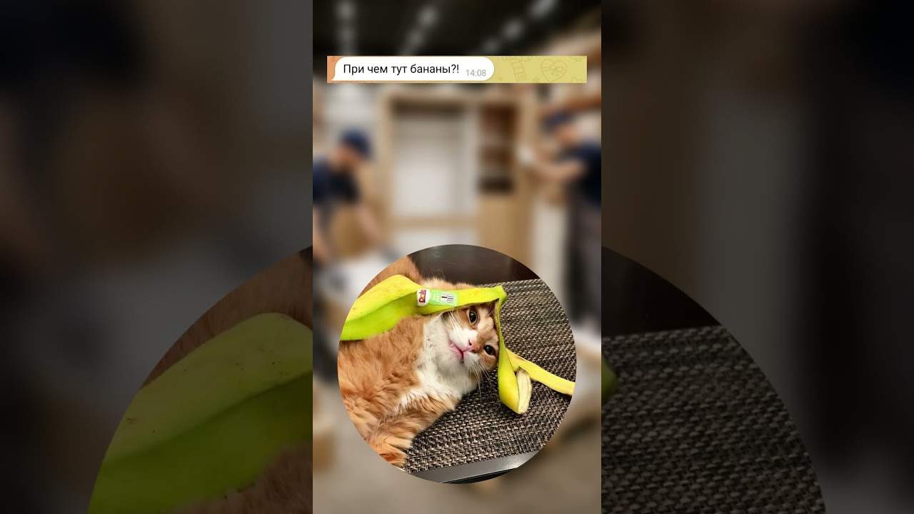 Шкаф без шкурки 😂 P.S. Помогаем удалить несправедливые отзывы, пишите 📨