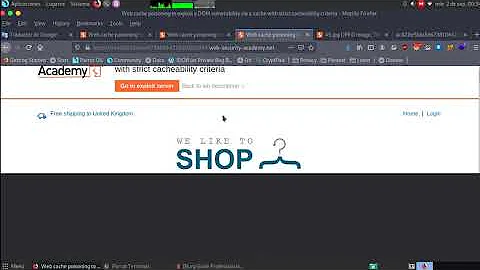 Web cache poisoning to exploit a DOM vulnerability via a cache with strict cacheability criteria