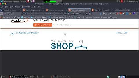Web cache poisoning to exploit a DOM vulnerability via a cache with strict cacheability criteria