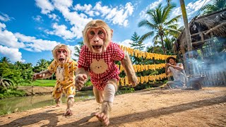Uncle Nam, Jobi & Hope Pick Bamboo Shoots To Buy Milk ❤️🌿🐒
