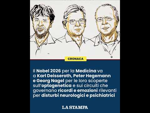 Video NOBEL per la MEDICINA 2026: ecco a chi è andato e perché