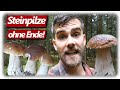 STEINPILZ WAHNSINN September | Pilze sammeln mit Glücksgefühlen ohne Ende