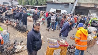 🔴 I Ölüm Ildırcın Ğanı 📺