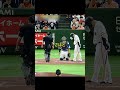 【驚愕】野球のスライディングはわざとか判断しにくいまとめ