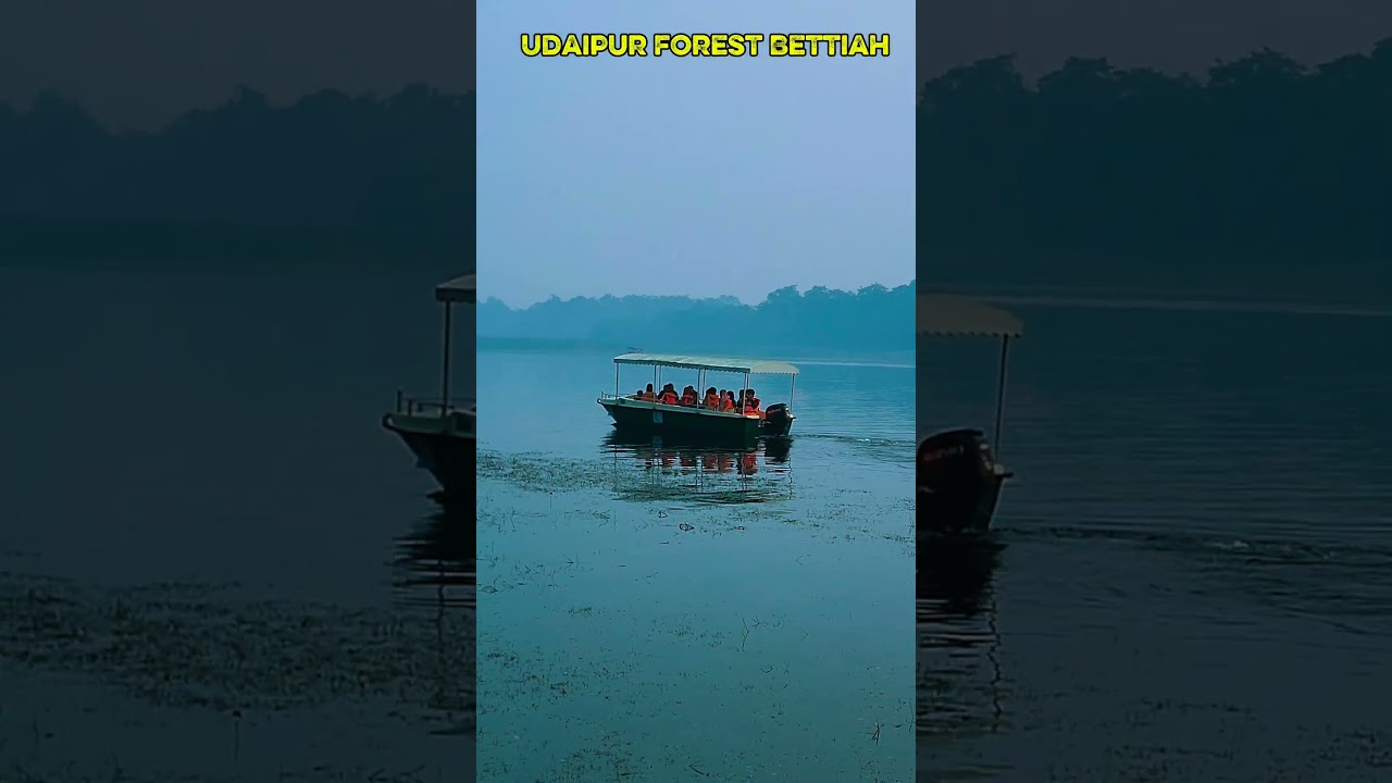 Udaipur Forest Bettiah ✨