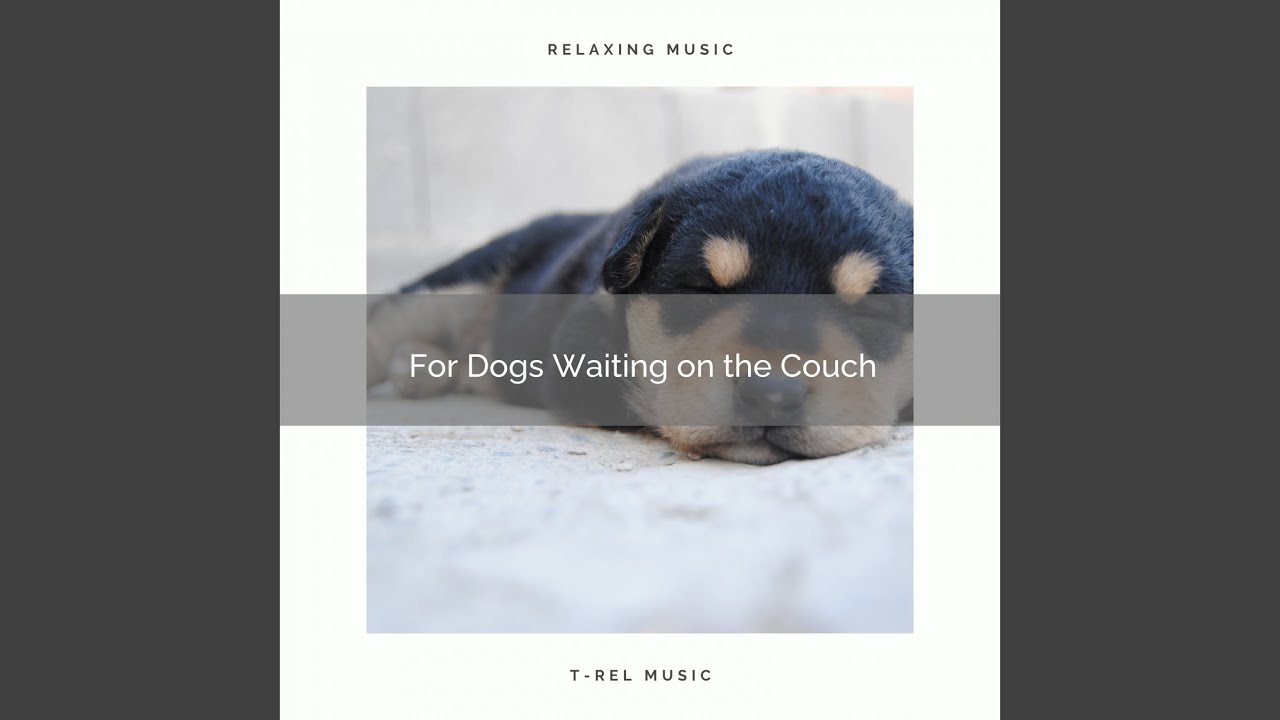 Be Capable of Total Relax with Perfect Music of Forest pt. 2