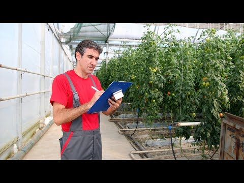 Nursery and Greenhouse Manager Career Video