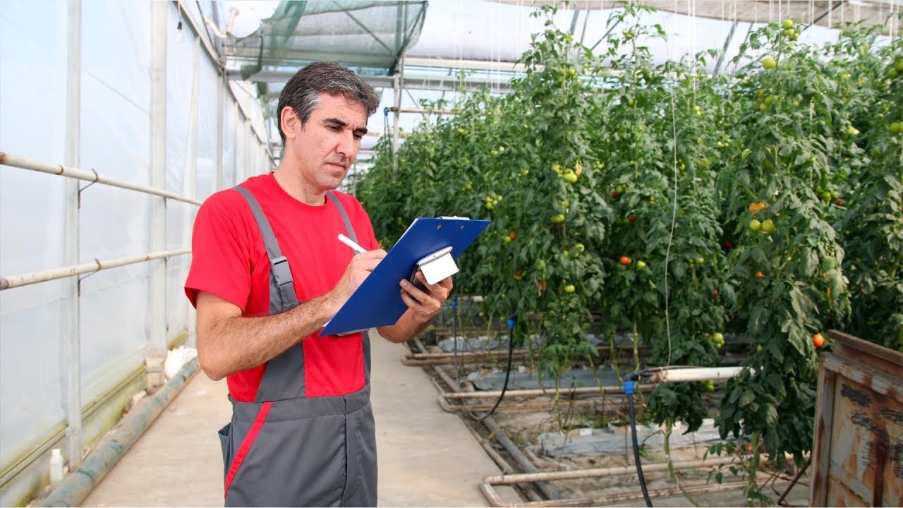 Nursery And Greenhouse Manager Career Video YouTube
