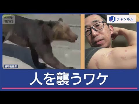 人間及び動物の表情 Amazon.co.jp: 人及び動物の表情について : ダーウィン: 本