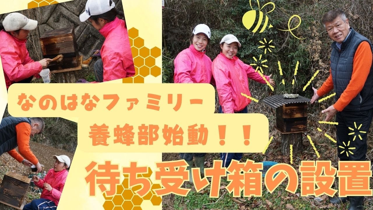 日本蜜蜂待ち受け箱一式 摂食障害回復のみち】日本ミツバチの待ち受け箱を設置しました！ - YouTube