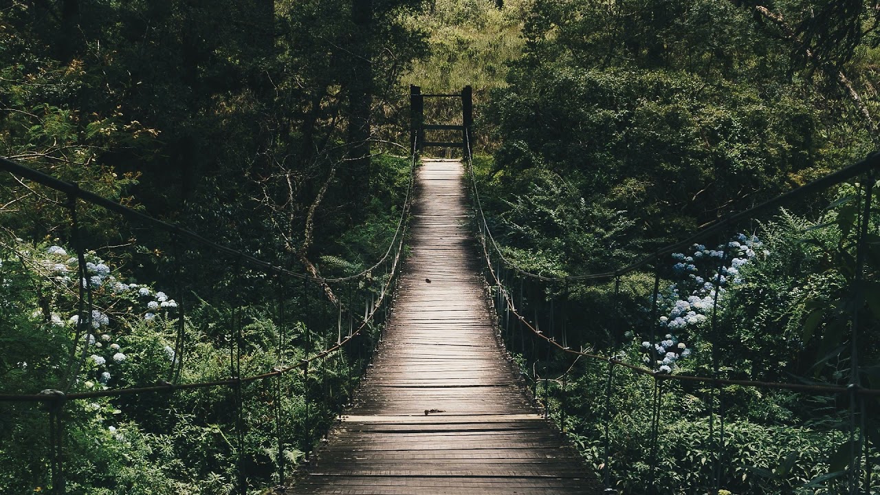 Tchaikovsky - Pas de Deux (Slowed and Reverbed)