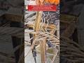 The Moment of Steel Wire Cable Braiding #craftsmanship #craftsman