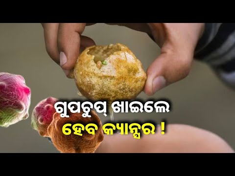 ପାଟିକୁ ସୁଆଦିଆ ଲାଗୁଥିବା ଗୁପଚୁପ  ହୋଇପାରେ କ୍ୟାନ୍ସର ର କାରଣ