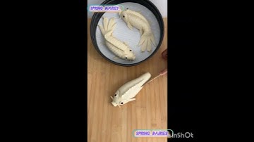 diy fish making support guys..... 🦋🦋🦋🦋🦋🦋🦋🦋🦋🦋🦋