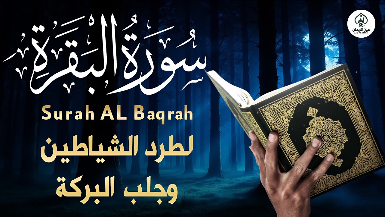 سورة البقرة لحفظ وتحصين المنزل وجلب البركة من أروع ما جود الشيخ حسام المعصبي | Sourah Baqara