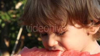 Delicious Watermelon - Stock Footage | VideoHive 10547821