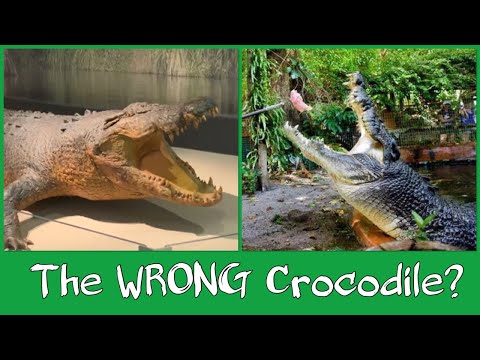 wickedsick Livestream: Did We Film The WRONG Sweetheart?