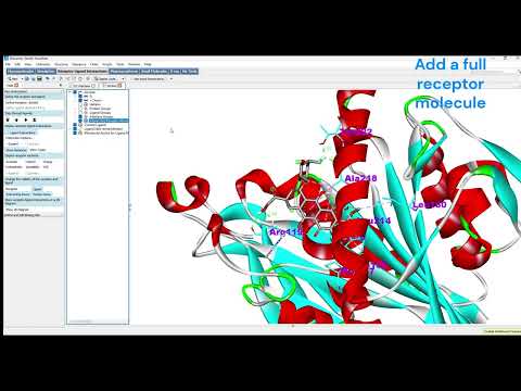 2D & 3D Visualization of Docked Ligand-Protein Complex Using Discovery Studio Visualizer