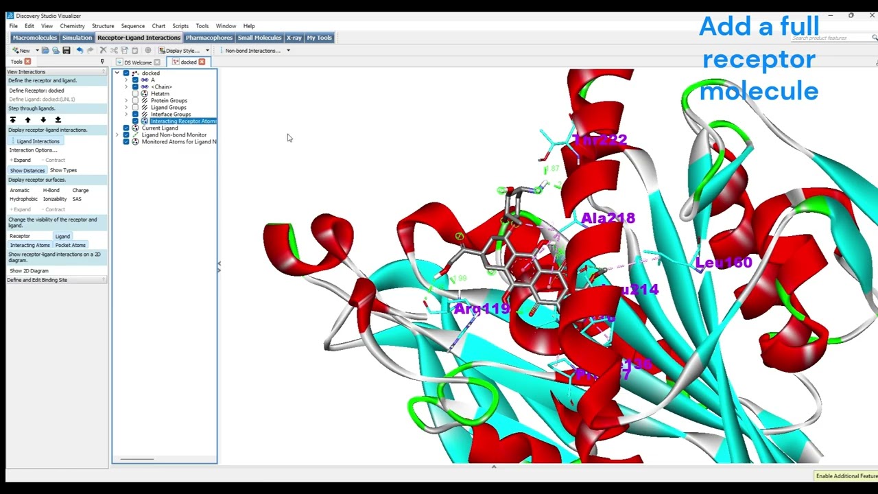 2D & 3D Visualization of Docked Ligand-Protein Complex Using Discovery Studio Visualizer
