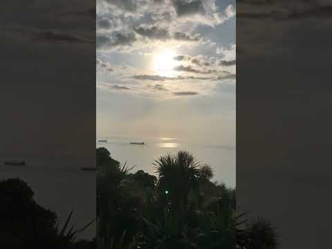 Шикарный вид на море из ботанического сада Батуми Грузия