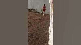 la china Fabiana lleva a pasear el perrito 😘❣️🥰