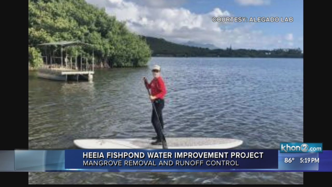 Heʻeia Fishpond restoration and research to continue with UH assistance