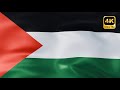 Palestine Flag Background 4k علم فلسطين متحرك 