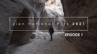 Photographing Zion, Fall 2021: Episode 1