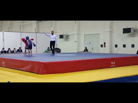 ლუკა ლიქოკელის გამარჯვება (ნახევარფინალი)