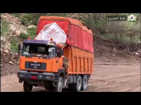 انه يزغرد طربا ب اجمل هون تسمعه في حياتك