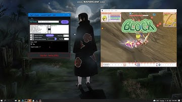 Level UP FlyFF - Free Bot (9-16-22)