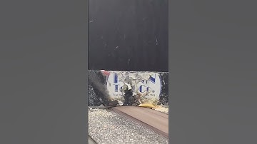 Few moments that feel just right #cookie #reverse #satisfying #cookies