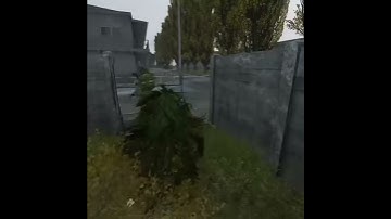 DayZ-ghillie suit does it work? I would say yes