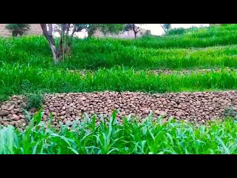 جمال الطبيعه في بلادي