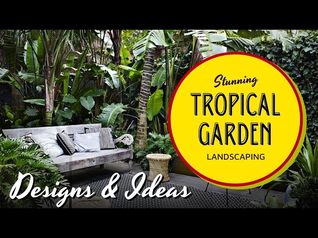 Tropical Garden Landscaping Ideas