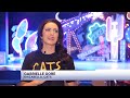 Things to do: CATS: The Musical, JOJI, Experience France, Free Foam Frenzy & more!