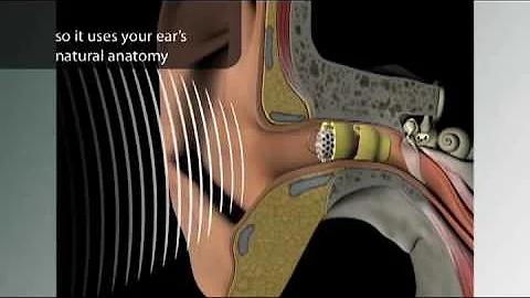 Dr. Doherty Lyric.mp4