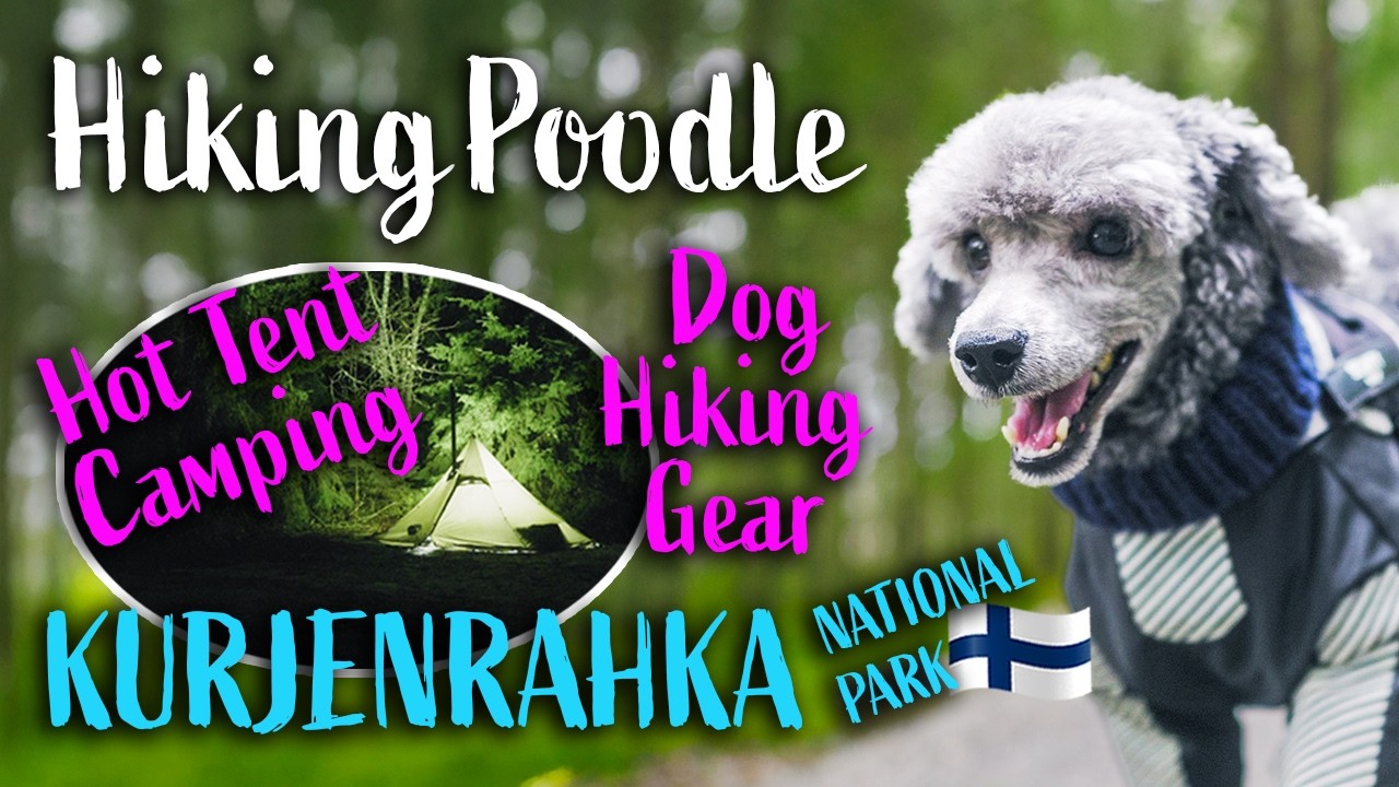 Kotateltan lämpöä ja suomaisemia | Koiran vaellusvarusteet | Retkipuudeli Topi | Kurjenrahka