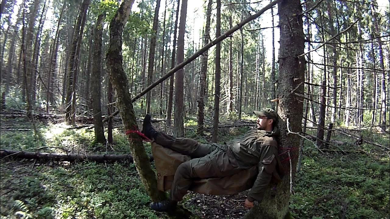 Деревья тайги. Гамак между сосен. Ночевка на дереве. Ночлег на дереве. Квадрокоптер застрял на дереве.