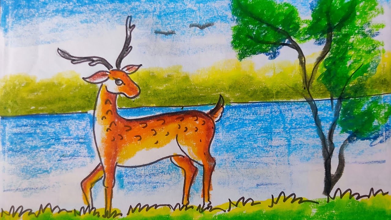Deer drawing easy,deer drawing easy step by step And colour,How to draw