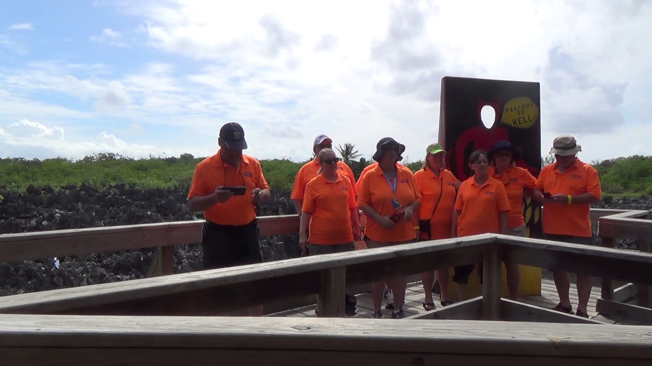 Head Auctions and Mound City Auctions sell hell.