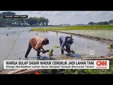 Kemarau Panjang, Air Waduk Surut dan Produksi Garam Terancam