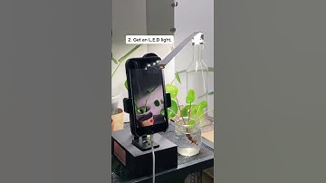How To Time Lapse Video Plants The Easy Way 2022 #shorts
