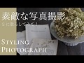 素敵な写真撮影方法ドライフラワーの撮影では花びらはS字がポイント