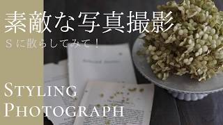 素敵な写真撮影方法ドライフラワーの撮影では花びらはS字がポイント