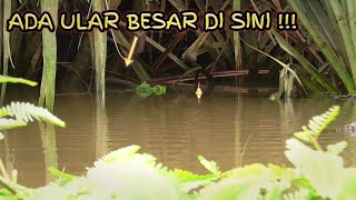 ngerii !!! lagi asik mancing gurame liar tiba tiba di datangi ular besar